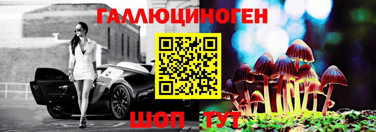 Галлюциногенные грибы прущие грибы  Вход с VPN  Маркс 
